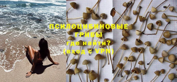 меф Горняк